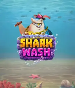 Погрузитесь в уникальным подводным приключением с игрой Shark Wash от Relax Gaming, выделяющим светлую визуализацию морской жизни, испытывающей фантастическую мойку. Присоединитесь к веселью, когда акулы и другие морские животные проходят через пузырьковой чисткой, с увлекательные механики вроде специальных бонусов, вайлдов и бесплатных вращений. Идеально для игроков, кто ищет радостного игрового опыта с новой тематикой.